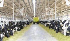 蘇墾優(yōu)然牧業沼氣發(fā)電項目并